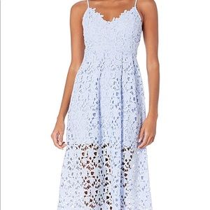 ASTR the label lace midi in light blue, periwinkle